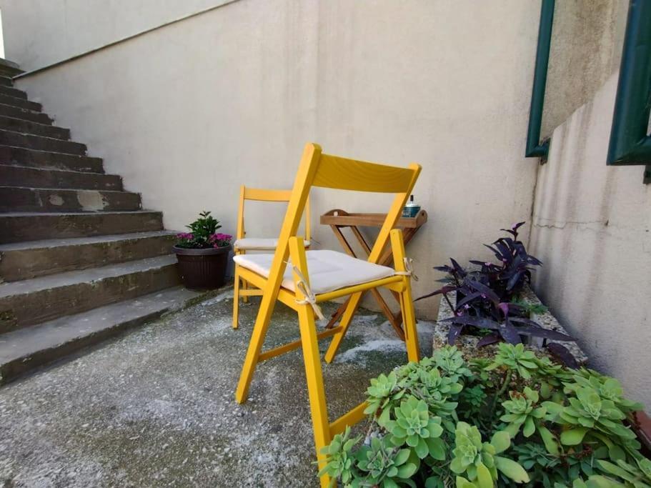 Apartman Nomi Studio *